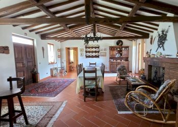 20250426_114517.jpg - Casale Strada Bonifica 150, Montecchio - foto 14