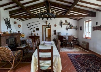 20250426_114150.jpg - Casale Strada Bonifica 150, Montecchio - foto 15