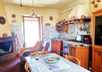 20250426_114036.jpg - Casale Strada Bonifica 150, Montecchio - foto 21