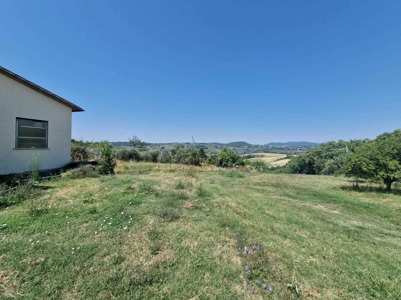 Immagine WhatsApp 2025-08-11 ore 15.38.42_e287c71c - Rustic Strada di Montoro, Amelia - photo 2