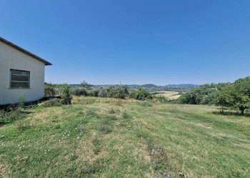 Immagine WhatsApp 2025-08-11 ore 15.38.42_e287c71c - Rustic Strada di Montoro, Amelia - photo 2