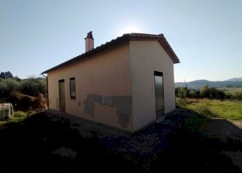 Immagine WhatsApp 2025-08-11 ore 18.22.13_066ba192 - Rustic Strada di Montoro, Amelia - photo 12