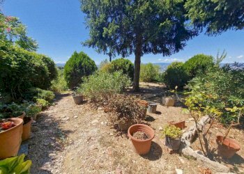 IMG-20250801-WA0056.jpg - Rustico Piazza Umberto I 9, Gualdo Cattaneo - foto 25