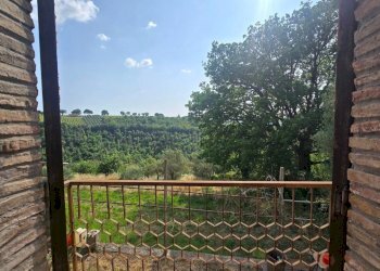 vista 2.jpg - Casale Vocabolo Menicaglie 9, Baschi - photo 13