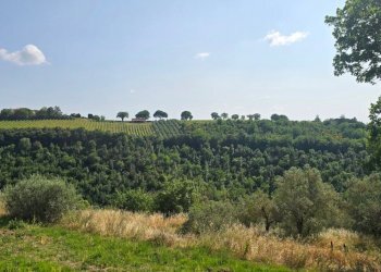 vista1.jpg - Casale Vocabolo Menicaglie 9, Baschi - photo 17