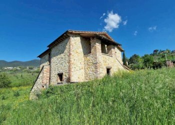 IMG-20240412-WA0051.jpg - Casale Via di Carnano snc, Montecchio - foto 18