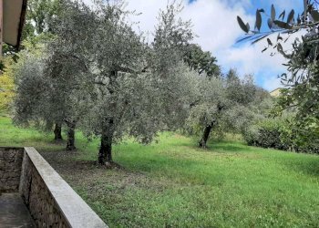 IMG-20201108-WA0014.jpg - Villa Via Giacomo Matteotti 142, Avigliano Umbro - foto 6