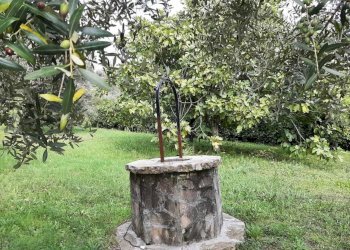 IMG-20201108-WA0017.jpg - Villa Via Giacomo Matteotti 142, Avigliano Umbro - foto 9