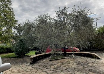 IMG-20201108-WA0020.jpg - Villa Via Giacomo Matteotti 142, Avigliano Umbro - foto 12