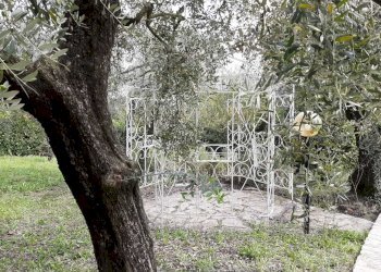 IMG-20201108-WA0021.jpg - Villa Via Giacomo Matteotti 142, Avigliano Umbro - foto 13