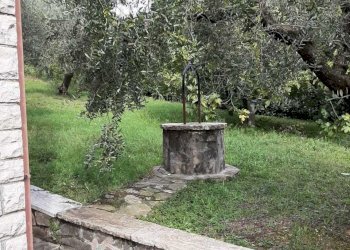 IMG-20201108-WA0023.jpg - Villa Via Giacomo Matteotti 142, Avigliano Umbro - foto 15