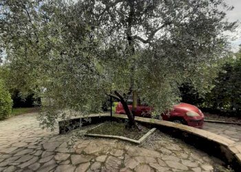 IMG-20201108-WA0024.jpg - Villa Via Giacomo Matteotti 142, Avigliano Umbro - foto 16