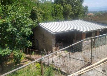 Immagine WhatsApp 2025-06-18 ore 16.33.09_bd3cdf66 - Porzione di casa SS205 54, Narni - foto 25