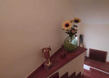 Immagine WhatsApp 2025-06-16 ore 16.02.31_3b3bba1e - Independent house PIAZZA PANFILI, Guardea - photo 10