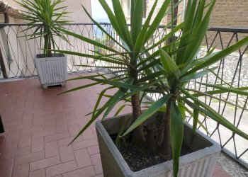 Immagine WhatsApp 2025-06-16 ore 16.02.40_6ed498c0 - Independent house PIAZZA PANFILI, Guardea - photo 13