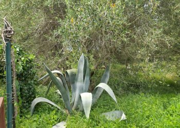 Immagine WhatsApp 2025-06-16 ore 16.02.42_b076ff01 - Porzione di casa Piazza Panfili, Guardea - foto 23