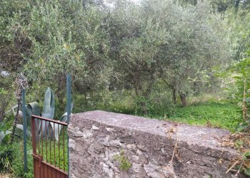 Immagine WhatsApp 2025-06-16 ore 16.02.43_5c88713f - Porzione di casa Piazza Panfili, Guardea - foto 23