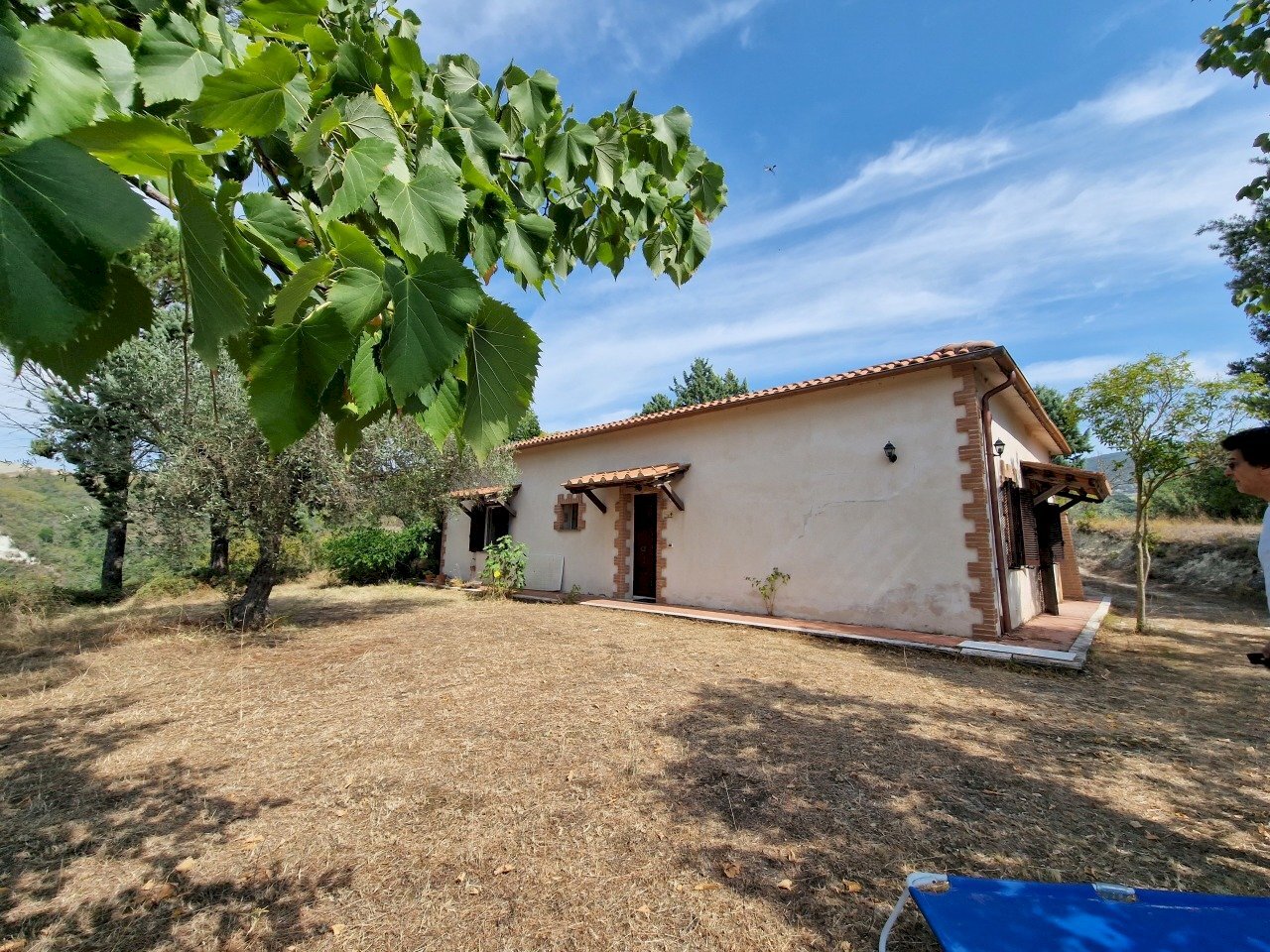 20230827_111037.jpg - Casale Strada Provinciale 34, Montecchio - foto 3