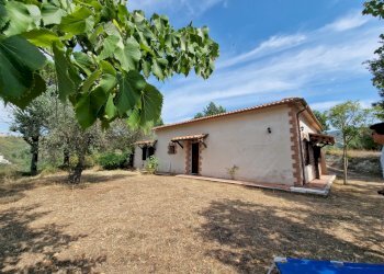 20230827_111037.jpg - Casale Strada Provinciale 34, Montecchio - foto 3