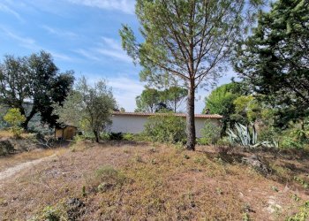 20230827_110038.jpg - Casale Strada Provinciale 34, Montecchio - foto 14