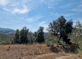 20230827_110045.jpg - Casale Strada Provinciale 34, Montecchio - foto 15