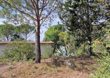 20230827_110049.jpg - Casale Strada Provinciale 34, Montecchio - foto 16