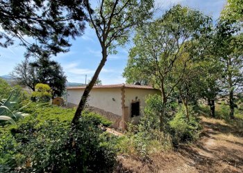 20230827_110114.jpg - Casale Strada Provinciale 34, Montecchio - foto 19