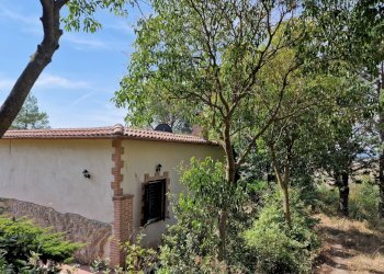 20230827_110123.jpg - Casale Strada Provinciale 34, Montecchio - foto 20