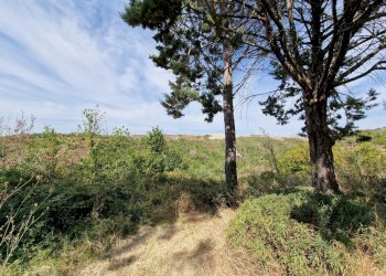 20230827_110205.jpg - Casale Strada Provinciale 34, Montecchio - foto 21