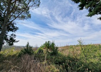 20230827_110208.jpg - Casale Strada Provinciale 34, Montecchio - foto 22