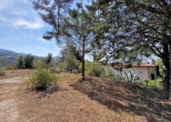 20230827_110018.jpg - Casale Strada Provinciale 34, Montecchio - foto 30