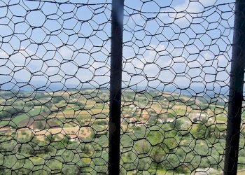 20230630_104813.jpg - Villa Via San Filippo 12, Lugnano in Teverina - photo 11