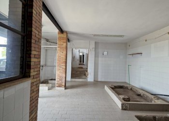 20230630_104913.jpg - Villa Via San Filippo 12, Lugnano in Teverina - photo 17