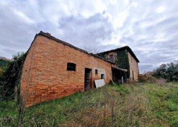 20241218_120920.jpg - Casale Strada di Siano, Amelia - photo 5