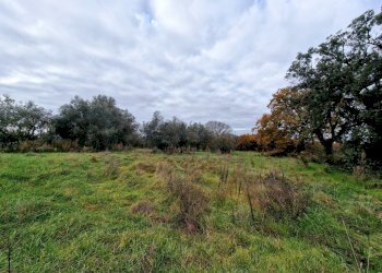 20241218_120924.jpg - Casale Strada di Siano, Amelia - photo 6