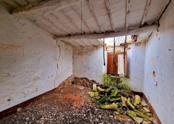 20241218_121826.jpg - Casale Strada di Siano, Amelia - photo 21