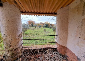 20241218_121851.jpg - Casale Strada di Siano, Amelia - photo 23