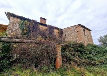 20241218_121948.jpg - Casale Strada di Siano, Amelia - photo 24