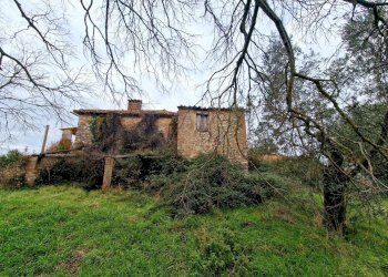 20241218_122002.jpg - Casale Strada di Siano, Amelia - photo 25