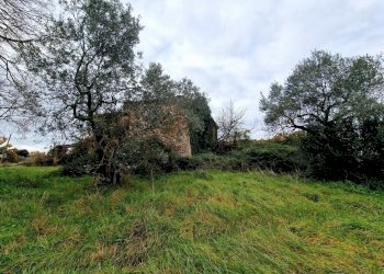 20241218_122023.jpg - Casale Strada di Siano, Amelia - photo 28