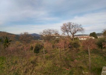 9eed3f25-bbb5-4fd2-9233-a7ae8102ea55.jpeg - Villa Strada di Campo Sardella, Amelia - photo 12