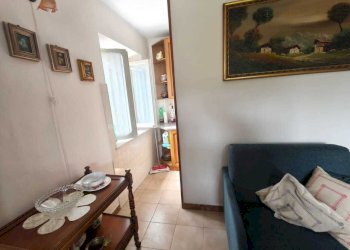 IMG-20250502-WA0158.jpg - Porzione di casa macchie, Amelia - foto 13