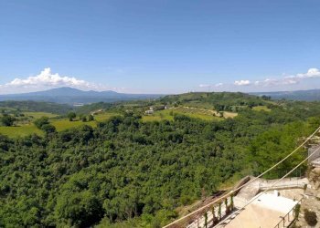 6fb7f99b-8069-41d8-95c2-a3251b2defd2.jpeg - Porzione di casa Via Umberto I, Alviano - foto 6