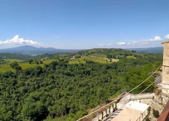 39590878-dad3-4744-83fd-1e6aedaca67e.jpeg - Porzione di casa Via Umberto I, Alviano - foto 10