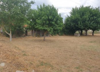 20210714_182259.jpg - Porzione di casa madonna del porto, Guardea - foto 7