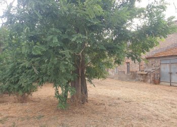 20210714_182457.jpg - Porzione di casa madonna del porto, Guardea - foto 19