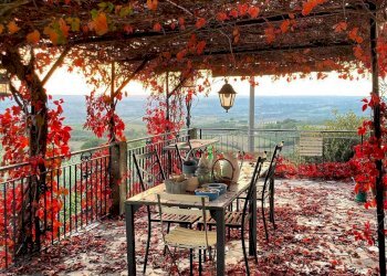 13.jpg - Casale SP34, Montecchio - foto 2