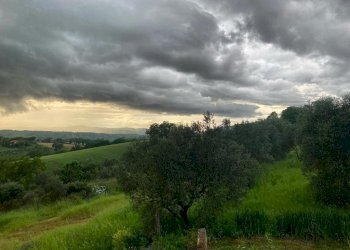 IMG-20230806-WA0012.jpg - Casale SP34, Montecchio - foto 10