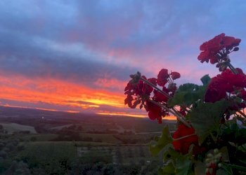 IMG-20230806-WA0011.jpg - Casale SP34, Montecchio - foto 13