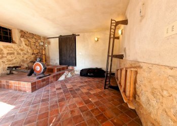 20250430_163752.jpg - Casale SP34, Montecchio - foto 15